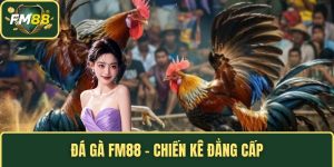 Đá gà FM88