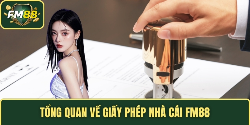 Tổng quan về giấy phép nhà cái FM88